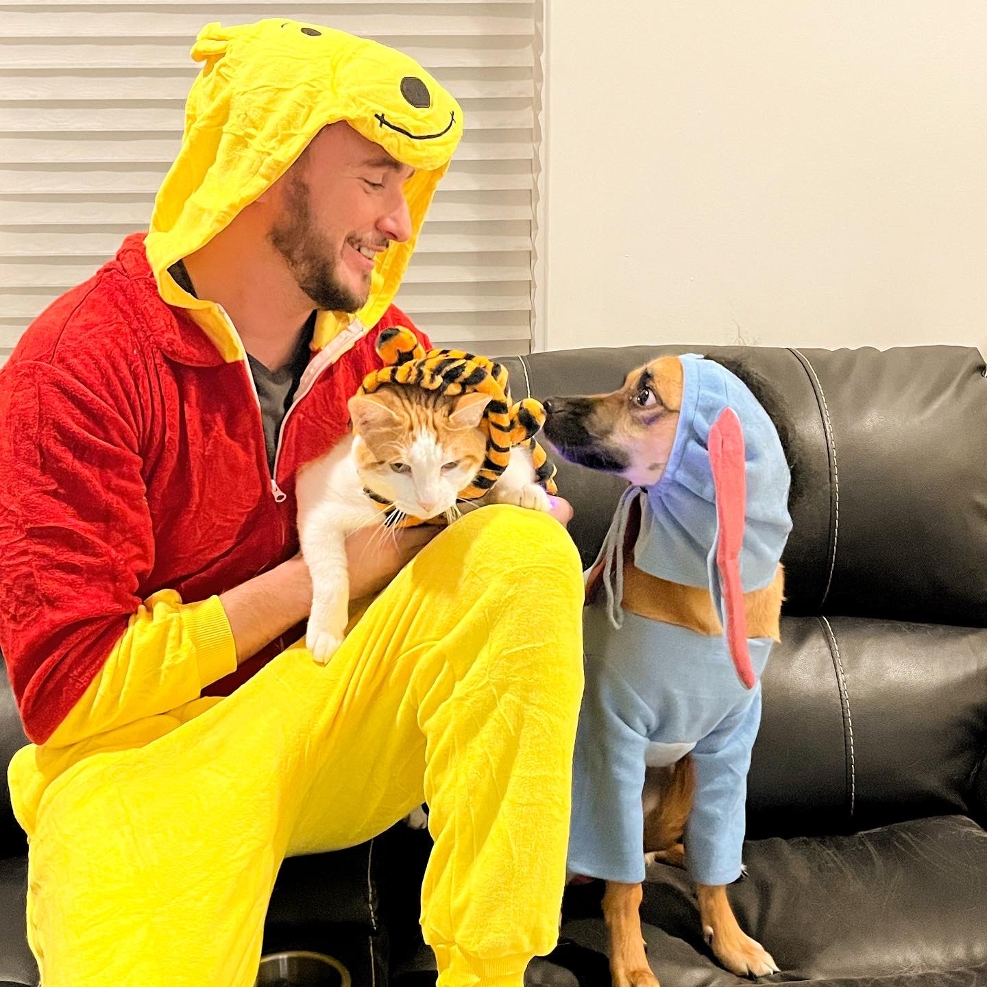 Matthew in a Winnie the Pooh costume, holding a cat dressed as Tigger, next to a dog dressed as Eeyore