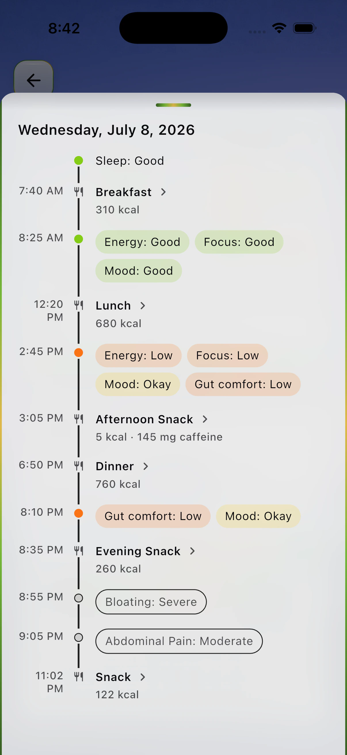 BareVue Food-Mood diary showing meals, sleep, energy, focus, mood, gut comfort, and symptoms together on one daily timeline